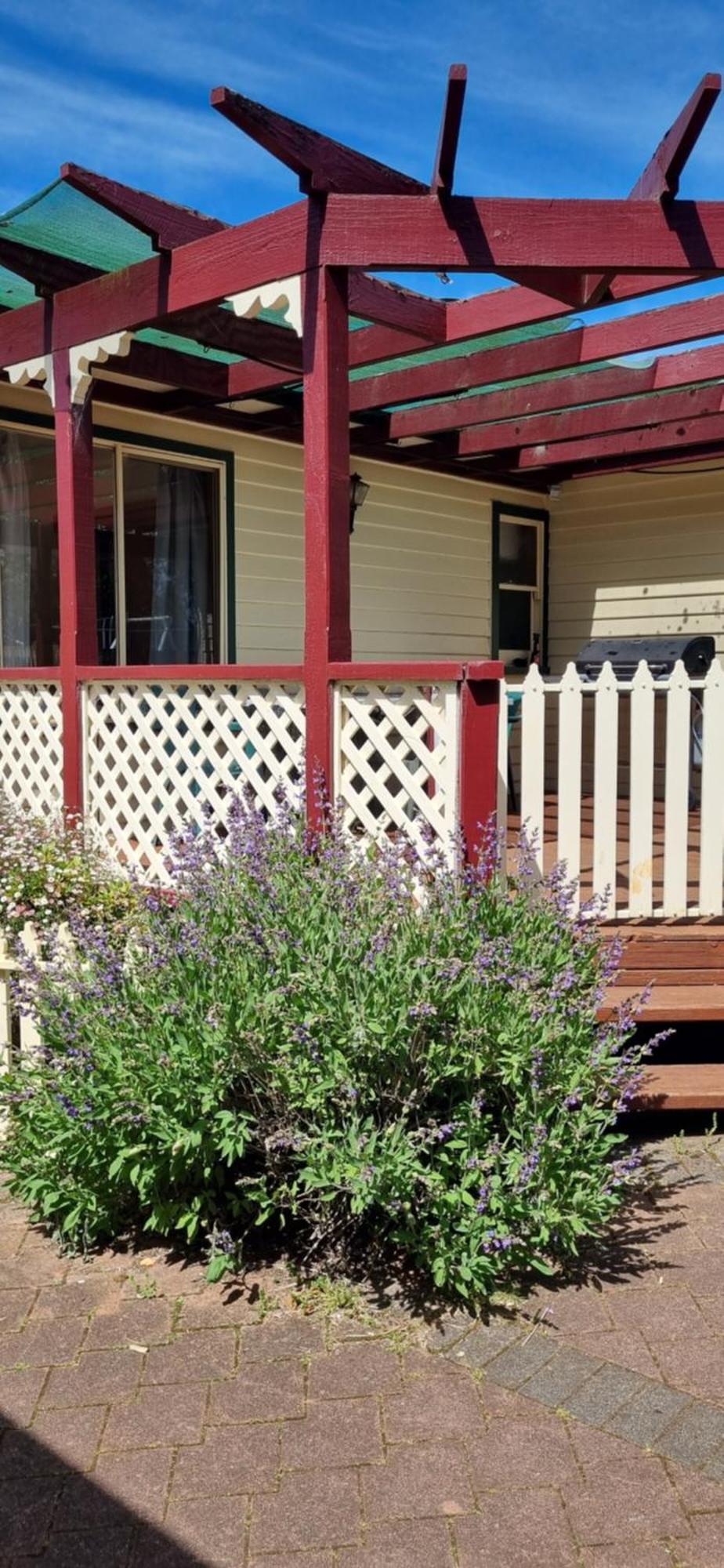 Belle Cottage Scottsdale Εξωτερικό φωτογραφία