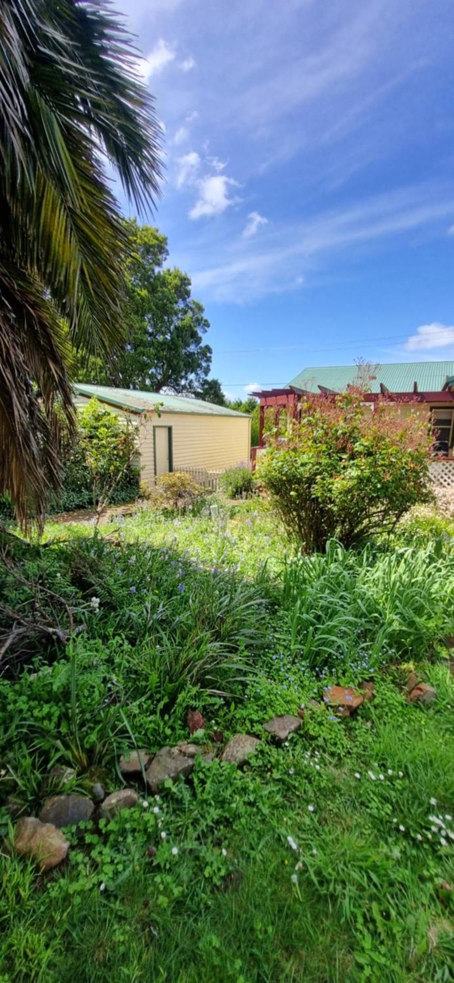 Belle Cottage Scottsdale Εξωτερικό φωτογραφία