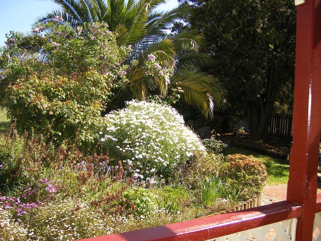 Belle Cottage Scottsdale Εξωτερικό φωτογραφία